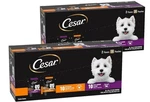Cesar Filets In Gravy Wet Dog Food Mignon Flavor 20 Count (pack Of 2). Fixed Price $31.00.