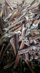 Bully Sticks Bites 100% Natural, Grass Fed, Long Lasting, Beef Pizzle, Odor Free. Fixed Price $72.99.