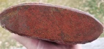 Nice Agatized Dinosaur Gem Bone Natural Deep Red 1161G Specimen Roughcut Cab Lap. Fixed Price $625.00.
