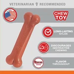Nylabone Power Dog Bones For Aggressive Chewers Tough Toys Cat. Fixed Price $7.03.