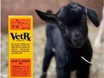 Vetrx - Veterinary Aid For Goat And Sheep 2 Oz.. Fixed Price $15.99.