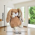 Giftable World Dog Toy 9" Bunny Boop Crinkle And Squeaker. Fixed Price $14.99.