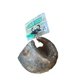 Qt Dog Water Buffalo Hornz Chew Long Lasting Natural Grain Free. Fixed Price $7.50.