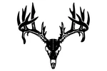 Deer Skull Vinyl Decal Big Buck Antlers Car Truck Window Sticker Trophy Hunting. Fixed Price $29.99.