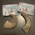 2- Qt Dog Buffalo Horns, Small. Fixed Price $19.95.