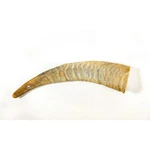 Qt Dog Gobi Goat Horn Chew Pet Treat. Fixed Price $45.99.