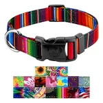 Country Brook Petz Deluxe Reflective Dog Collar. Fixed Price $10.97.