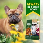 Dog Peanut Butter Bones W/cranberry Rawhide Free Chew Treats Pet Natural Mini &. Fixed Price $31.95.