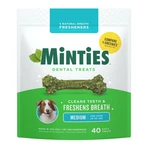 Minties Dental Chews For Dogs, 40 Count, Medium - 32OZ, Green. Fixed Price $28.88.