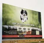 Ad For Purina Prime Bone Dog Chews Snacks Dental Old Print #5417. Fixed Price $5.00.