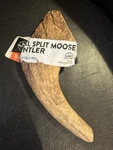 Dentley's Colossal Xxl Moose Antler Dog Chews For Heavy Chewers Natural. Fixed Price $20.25.