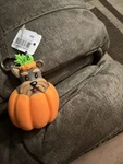 Bath And Body Pumpkin Dog Germ X Holder. Fixed Price $12.60.