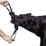 Www.dingogear.com 1977 French Linen Tug Toy For Dog. Fixed Price $35.91.