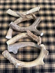 1LB Natural Whitetail Deer Antlers *dog Chews, Crafts, Decor*. Fixed Price $17.00.