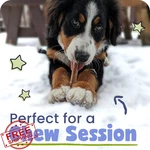 Pawstruck Natural 12" Braided Bully Sticks 1LB Bag Low Odor. Fixed Price $77.41.