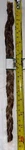 Real Meat Brand Pork Pizzle Braided, 2 Pack *****all Natural*****. Fixed Price $11.99.