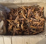 Dehydrated Chicken Feet Treats For Dogs 50 Count !. Fixed Price $17.00.