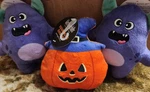 Dog Toys Jack-o-lantern, 2-MONSTERS 5-7" Stuffed, Squeaker, Set Of 3. Fixed Price $9.97.