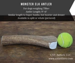 Monster Elk Antler Bone - Whole For Dogs 75+LBS. Fixed Price $42.00.