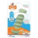 Small Green Puppy Chew Toy Relief For Teething Sensory Peanut Butter Flavor. Fixed Price $15.59.