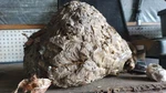 Art Bee Hive Cone, Natural, Dog Nature Made, Gray, Shadow Coloring. Fixed Price $130.00.