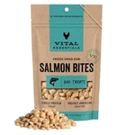 Vital Essentials Freeze Dried Salmon Dog Treats, Premium Grain-free Training. Fixed Price $31.34.
