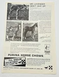 Purina Big Un Horse Chow Vintage Print Ad 1970S Foal Transformation Photos. Fixed Price $10.79.