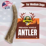 Medium Whole Elk Antler Dog Chew Premium Grade Long-lasting Natural Treats. Fixed Price $18.99.