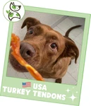 Usa Turkey Tendons For Dogs (4OZ) - Delicious Grain Free Reward Snack Sma.... Fixed Price $29.45.