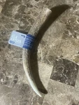 Amazon Brand Wag Elk Antler Whole X-large 9.5-10.5 Inches Long. Fixed Price $20.00.