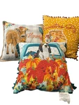Pioneer Woman Dog Charlie Howdy Sweet As Pie Decorative Throw Pillow Set Of 3. Fixed Price $49.00.