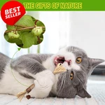 5PK Silvervine Cat Chew Toys Matatabi Dental Sticks For Indoor Kittens - Us. Fixed Price $21.95.