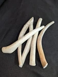 5 Pack Large* Cheap* Whitetail Deer Antler Dog Chews Grade *best Value*. Fixed Price $35.00.