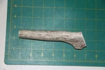 Small Upper Elk Antler Dog #3 / Bone Chews Moose Treats Deer 305. Fixed Price $10.00.