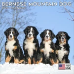 Bernese Mountain Dog Calendar 2026 - Breed Wall Made The Usa!. Fixed Price $16.97.
