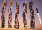 Beef Gullet Braided Sticks 6 Inch Natural Dog Chews Bones Usa Jerky Fresh. Fixed Price $109.90.