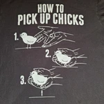 How To Pick Up Chicks Shirt Mens Large Black Funny Chicken Graphic Humor Flaw. Fixed Price $7.69.