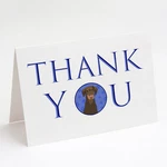 Doberman Pinscher Red And Rust Natural Ears #2 Thank You Greeting Cards Pack Of. Fixed Price $18.60.