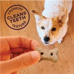 Wellness Classic Savory Mix Baked Biscuit Treats For Dogs, Mini 16 Ounce Bag. Fixed Price $39.00.