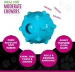 Chase 'n Chomp Dog Amazing Squeaker Ball Toy For Pets, 2.5 Inch, Color May Vary. Fixed Price $12.99.