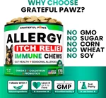 Dog Allergy Relief Chews - Itching Skin Treatment 170 An.... Fixed Price $34.95.