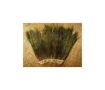 Natures Spirit - Strung Peacock Herl. Fixed Price $5.25.
