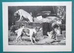 Dog Visit Cats Kittens - Victorian Era Print. Fixed Price $17.50.