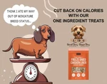 Doggiegear The Only Freeze Dried Chicken Liver Dogs Need (4OZ). Fixed Price $14.95.