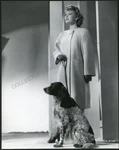 June Duprez W Springer Spaniel Dog - Portrait By Bachrach Original 1944 Photo. Fixed Price $24.99.