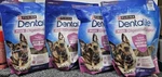 4X Purina Dentalife Immune Large Dog (40+ Lbs)dental Chew 19CT & 22.6 Oz/ea 6/26. Fixed Price $35.00.