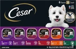 Cesar Wet Dog Food Classic Loaf In Sauce Grilled CHICKEN,(36 Count, Pack Of 1). Fixed Price $28.50.