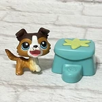 Hasbro Littlest Pet Shop #237 Collie Dog Open Mouth Blue Eye Magnet W/ Treat Box. Fixed Price $22.00.