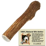 Elk For Dogs, Extra Large, Grade A, Antler's Natural Shed Treats. Fixed Price $35.00.