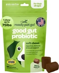 Ready Pet Go! Tasty Pre And Probiotics For Dogs - 60 Chews Expiration 07/26. Fixed Price $15.99.